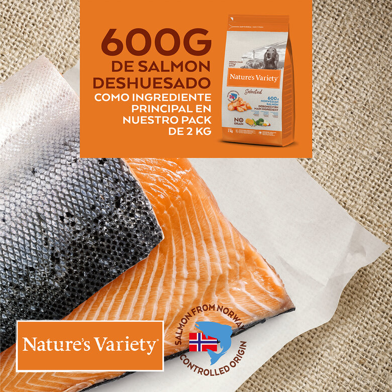 Nature's Variety Selected Adult Medium Salmón pienso para perros, , large image number null